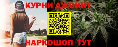 индика Вязники